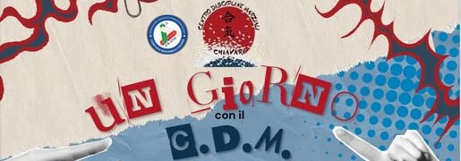 Dimostrazione di arti marziali