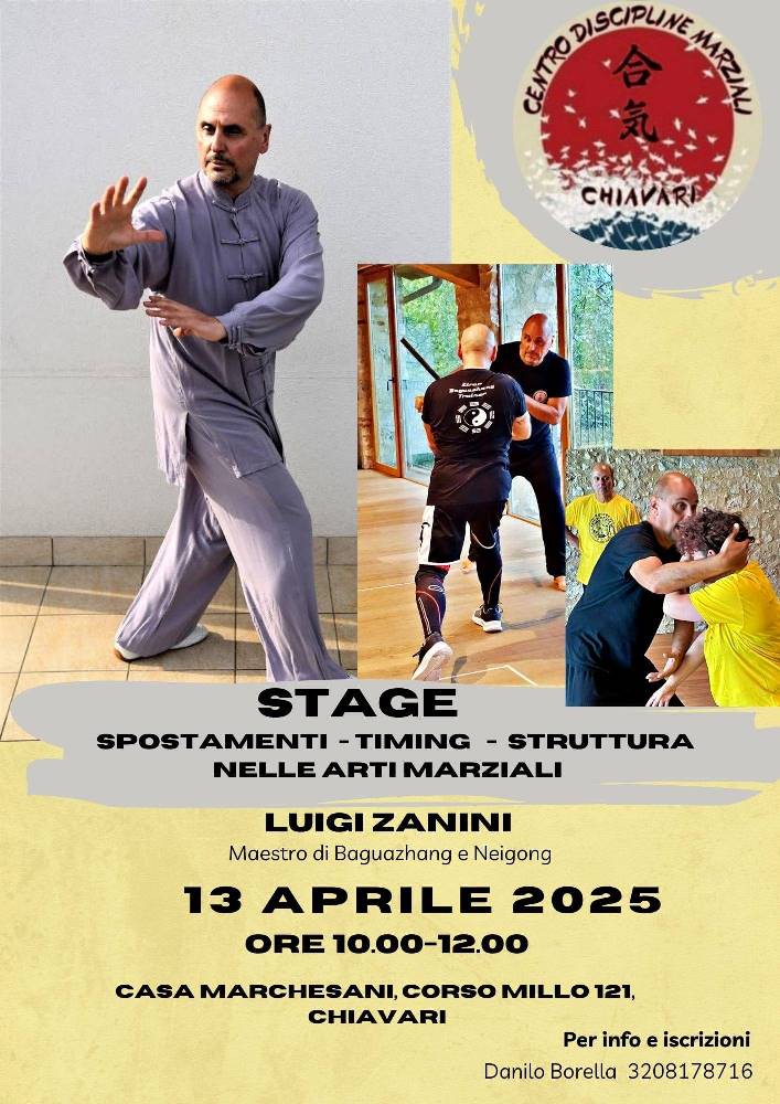 Stage arti marziali