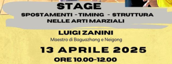 Stage arti marziali