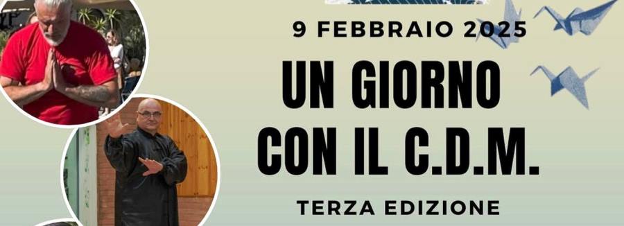 Dimostrazione di arti marziali
