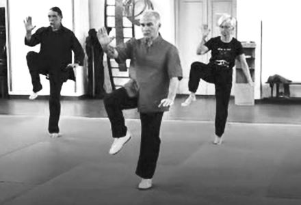 tai chi chuan::<br>L'energia vitale per il benessere e la salute scuola di tai chi