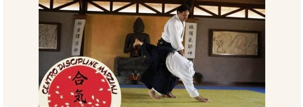 Stage di Aikido
